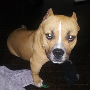 Meet your Posher, Monique